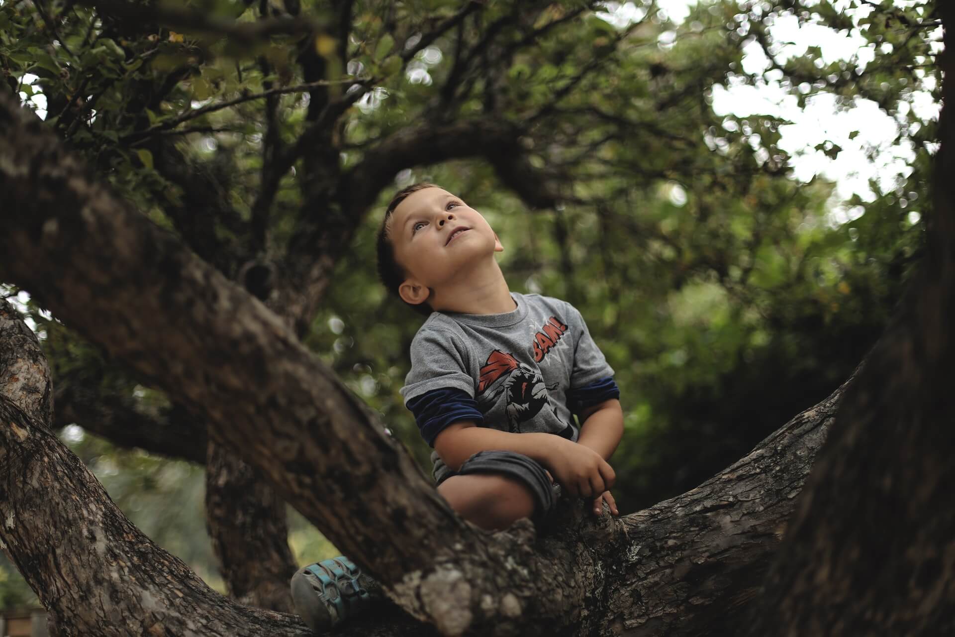 Ett barn som klättrar i träd, Umeå.