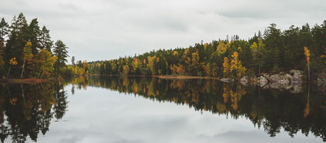 Naturfotografering vid en sjö i Umeå.